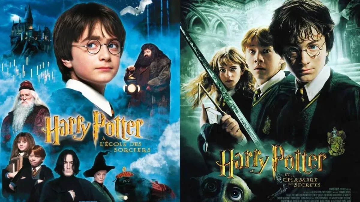 Harry Potter TF1