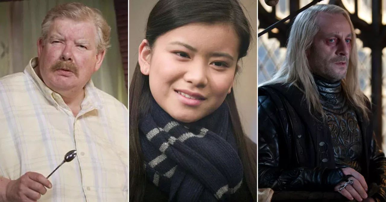 Qui sont les pires personnages dans la saga Harry Potter ?