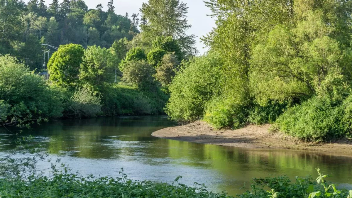Voici ce que sont devenues les femmes de Gary Ridgway, le Green River Killer