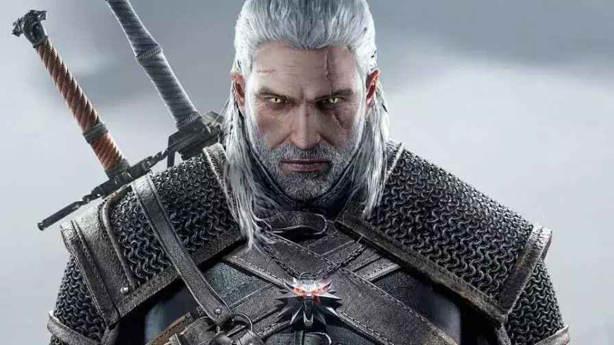 The witcher livre