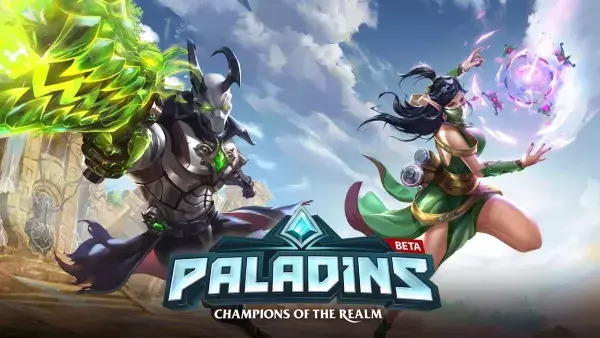 Paladins                  