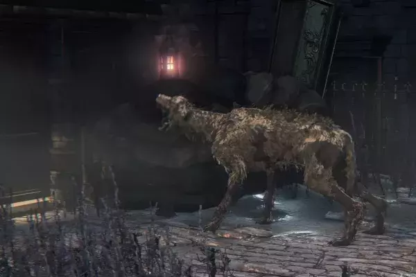 6. Chien - Bloodborne (et tous les autres jeux FromSoftware)