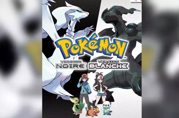 7- Pokémon Noir et Blanc (2010) 