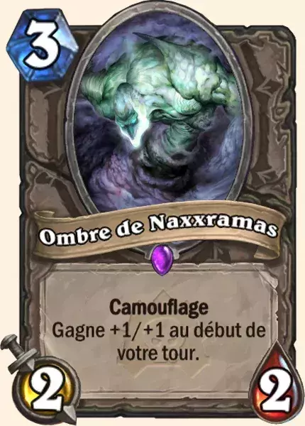 Deck Chaman pour battre le Roi-Liche : 2x Ombre de Naxxramas