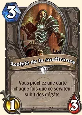 Deck Paladin pour battre le Roi Liche : 2x Acolyte de la souffrance