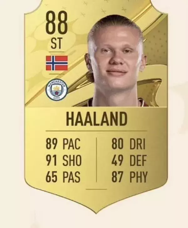 Erling Haaland