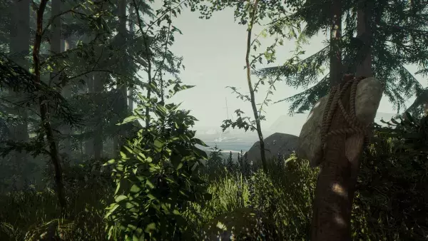 16. The Forest