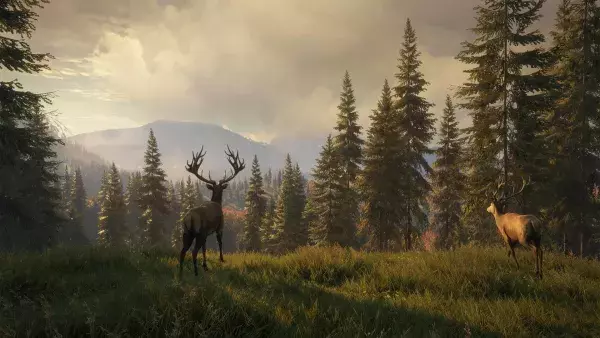 The Hunter : Call of the Wild