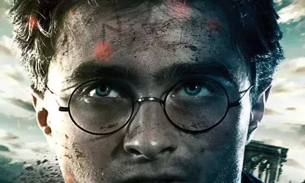 2. Les lunettes d'Harry Potter