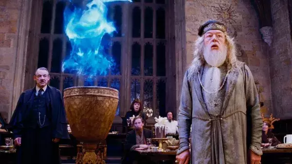 7. En tant que spectateur, le tournoi des Trois Sorciers devait être très ennuyeux à regarder 