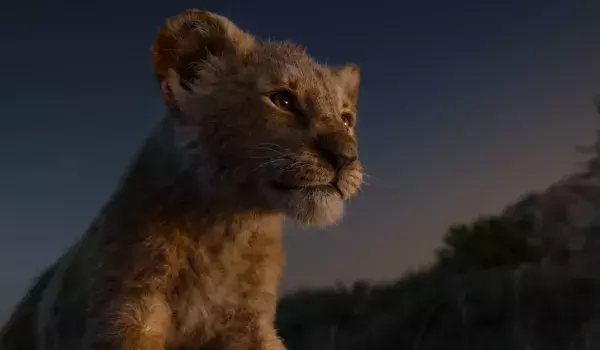 9. Le Roi Lion (2019)