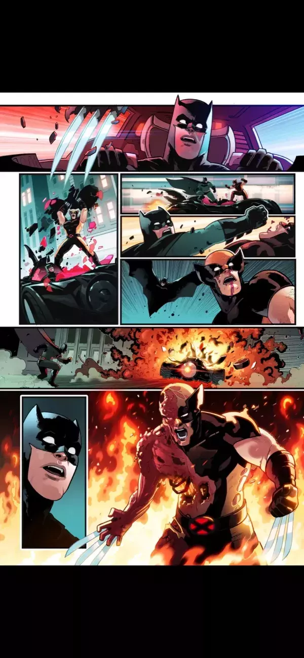 Animals : Batman vs Wolverine