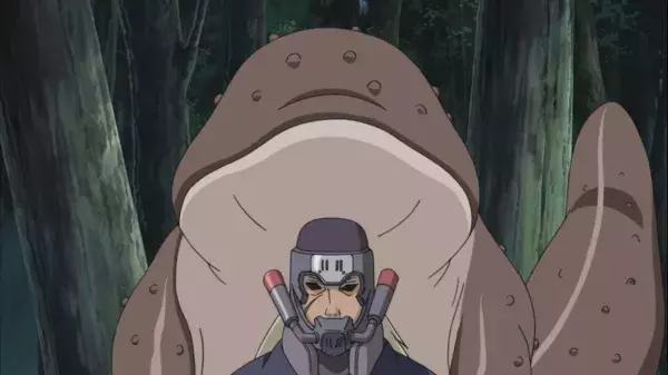 4. Ibuse