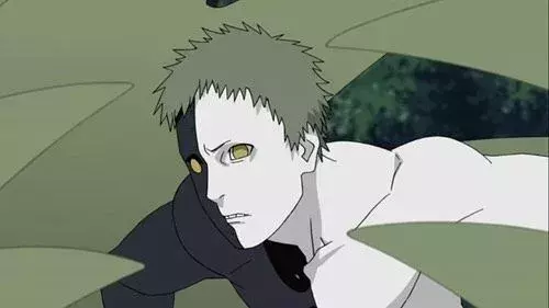9. Zetsu