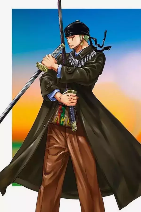 One Piece : Luffy et Zoro dans des tenues uniques