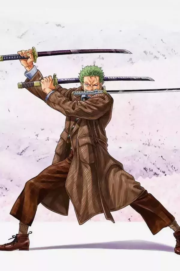 One Piece : Luffy et Zoro dans des tenues uniques