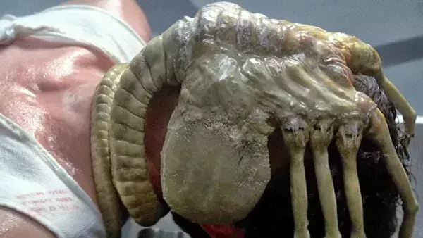 18. Alien, le huitième passager