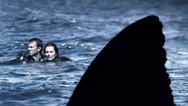 Open Water : En eaux profondes (2004)