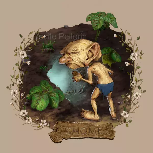 Gnome                                                                                            