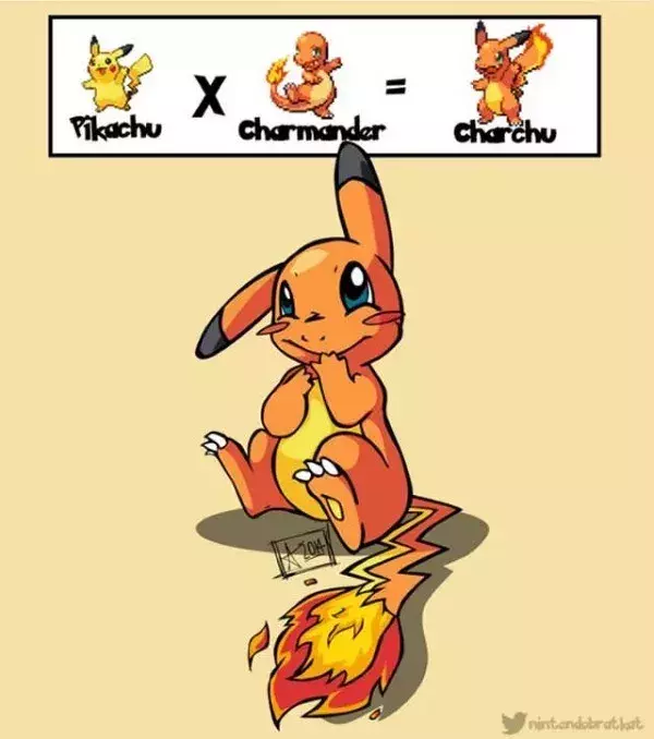 Fusion de Pokémon : Pikachu x Salamèche