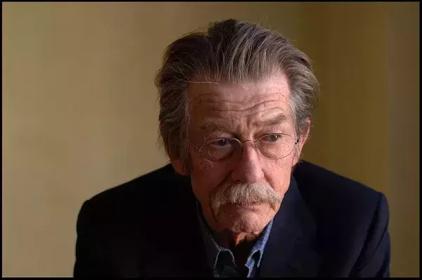 John Hurt - Ollivander