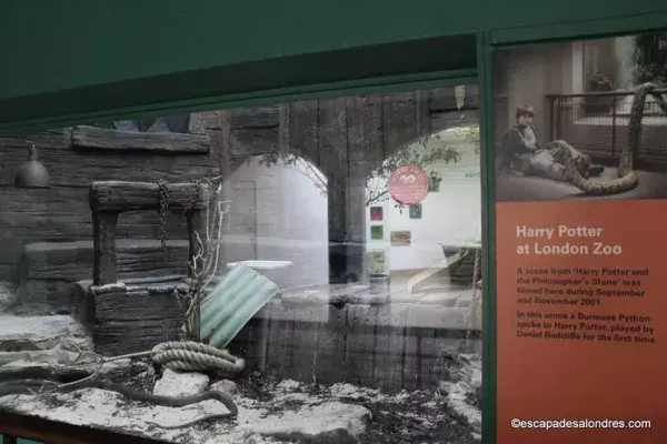 Libérez un serpent (ou pas) au Zoo de Londres